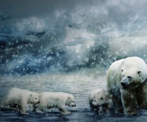 9 Polar Bear Gifts Sure to Enchant Any Animal Lover